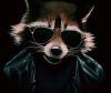 Profile picture for user jonny1