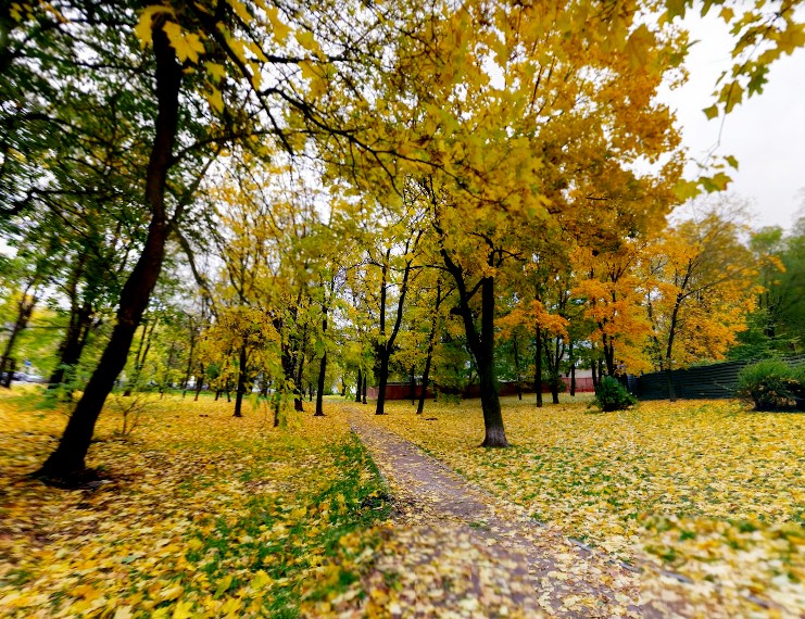 Петровский парк осенью