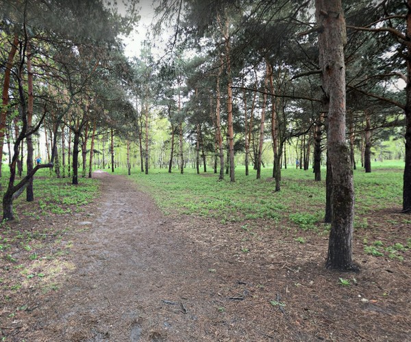 Москворецкий парк