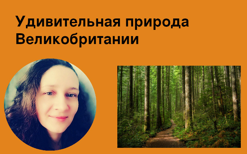Удивительная природа Великобритании