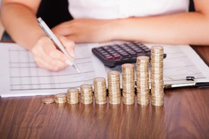 Бюджет субъектов Российской Федерации 2017 год