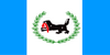 flag_of_irkutsk_oblast.png