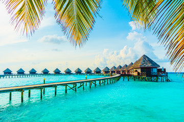 Cocoa Island: остров мечты с бунгало в воде