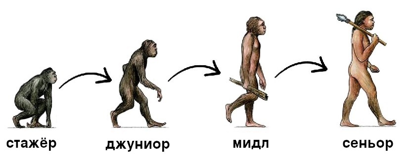 Junior, Middle, Senior