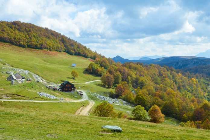 Национальный парк Биоградска фото