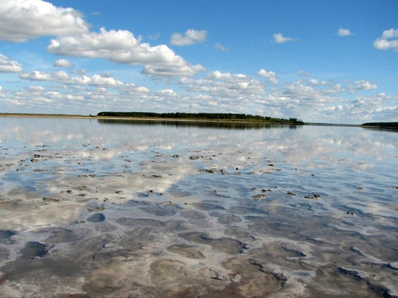 Соленое озеро Медвежье
