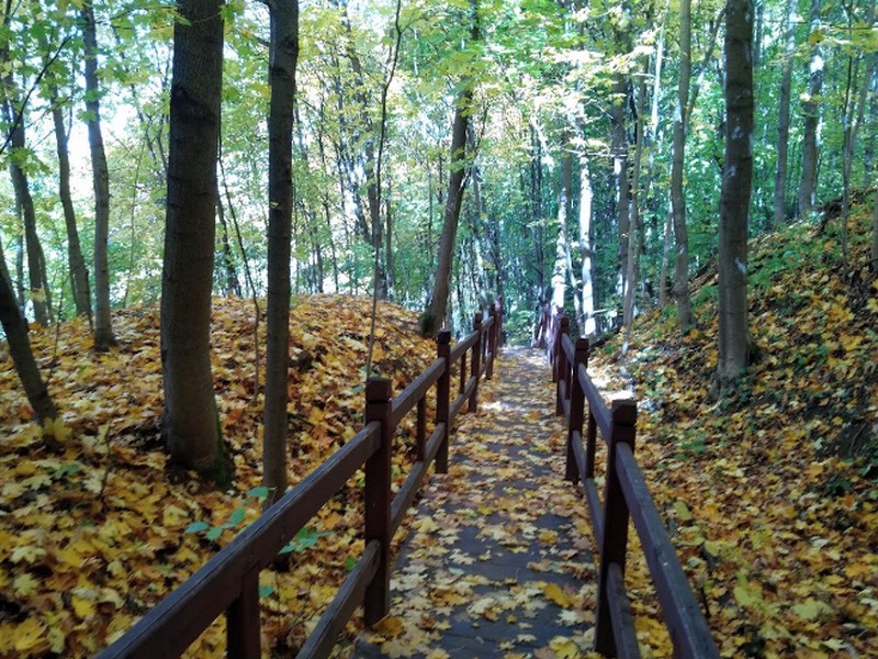 Экологический Природный Парк Куркино