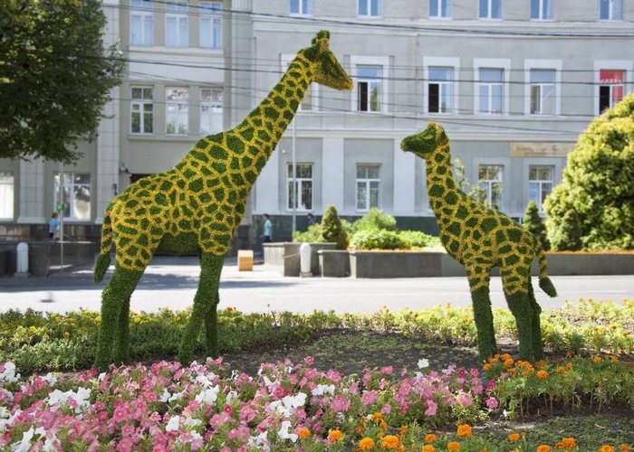 Ставрополь лето Ставрополь лето
